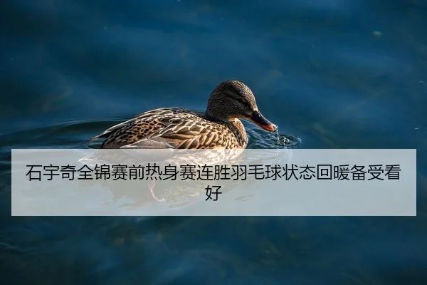 石宇奇全锦赛前热身赛连胜羽毛球状态回暖备受看好 | SPEEDSPORT
